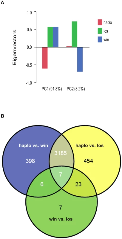 Analyses of global gene expression between haplometrotic and pleometrotic queens.