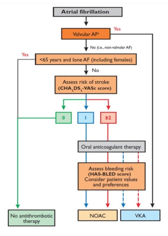 Algoritmus pro rozhodování
AF – Atrial Fibrillation, NOAC – nová perorální antikoagulancia, VKA – antagonisté vitaminu K (Převzato z originálního textu.)