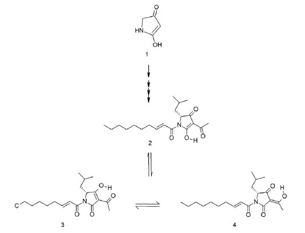 Reutericyklín vzniká z kyseliny tetrámovej (1), presný mechanizmus biosyntézy nie je dosiaľ známy. Reutericyklín sa v roztokoch vyskytuje v troch keto-enol tautomérnych formách (2, 3, 4) &lt;sup&gt;27)&lt;/sup&gt;