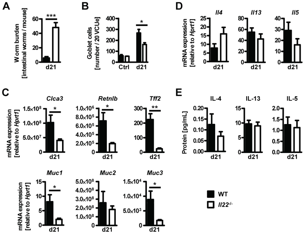 <i>Il22</i><sup>−/−</sup> mice show reduced worm expulsion and goblet cell responses, but normal type 2 responses, during <i>T.muris</i> infection.