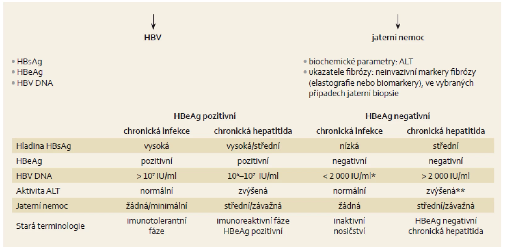 Přirozený vývoj a diagnostika chronické infekce HBV [3].
Fig. 1. Natural development and diagnosis of chronic HBV infection [3].
