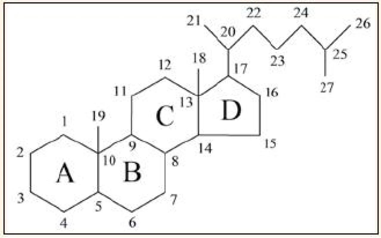 Označování cyklů a číslování atomů (cholestan).