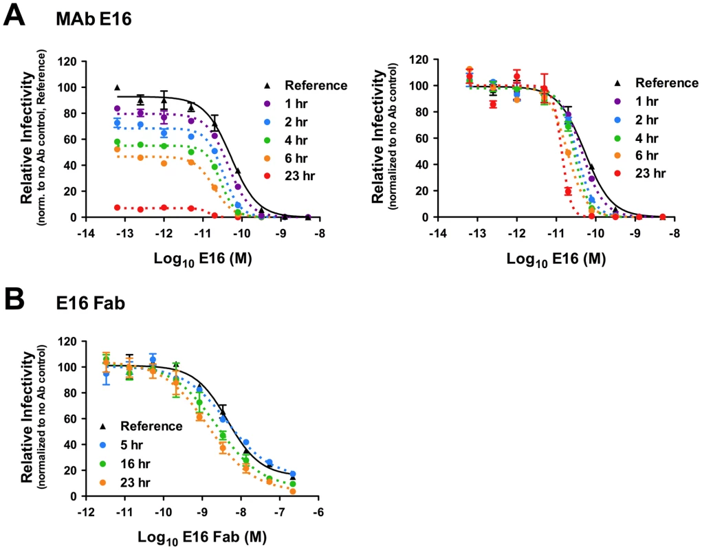 Kinetic changes in antibody-mediated neutralization of WNV infection by the DIII-specific MAb E16.