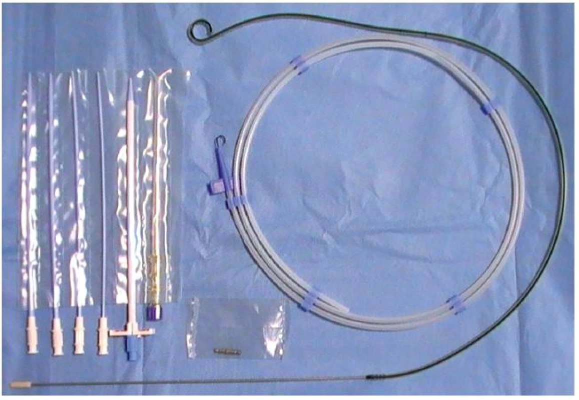 Extraanatomický stent
Fig. 2. Extra-anatomic stent