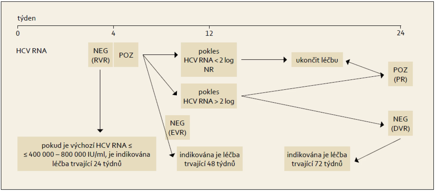 Léčba vedená podle dosažené virologické odpovědi během terapie, genotyp HCV 1.
Fig. 6. Treatment administered based on the achieved virological response during the therapy, HCV 1 genotype.