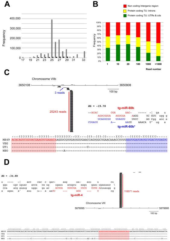 A repertoire of <i>Toxoplasma</i> endogenous small RNAs.