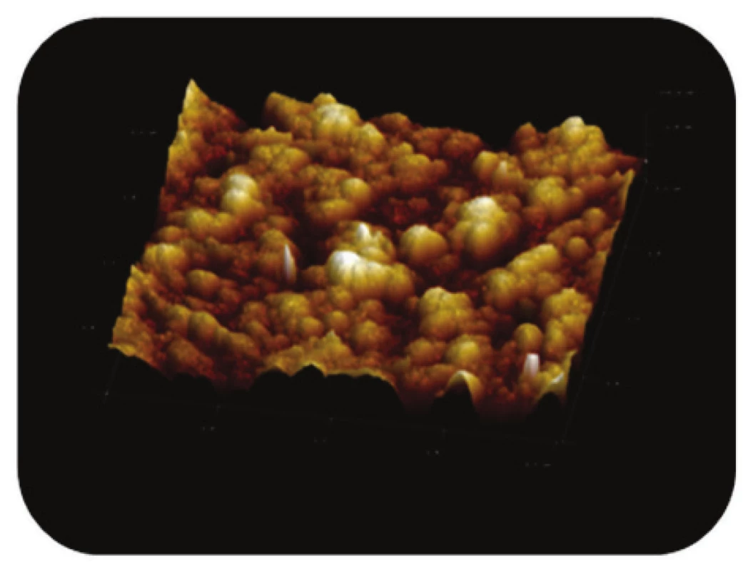 Trojrozměrné zobrazení AFM skenu detailu povrchu magnetického nosiče MPG-uncoated, režim zobrazení: výškový profil, skenovaná oblast 2x2 μm&lt;sup&gt;2&lt;/sup&gt;, Z – rozsah 100 nm.