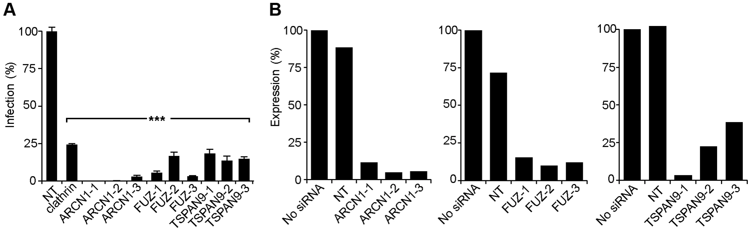 Silencing of ARCN1, FUZ, and TSPAN9 in human U-2 OS cells inhibits alphavirus infection.