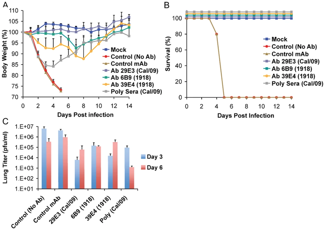 Passive immunization of mice with 1918 and 2009 H1N1 HA specific cross-reactive antibodies protects against Neth/09.