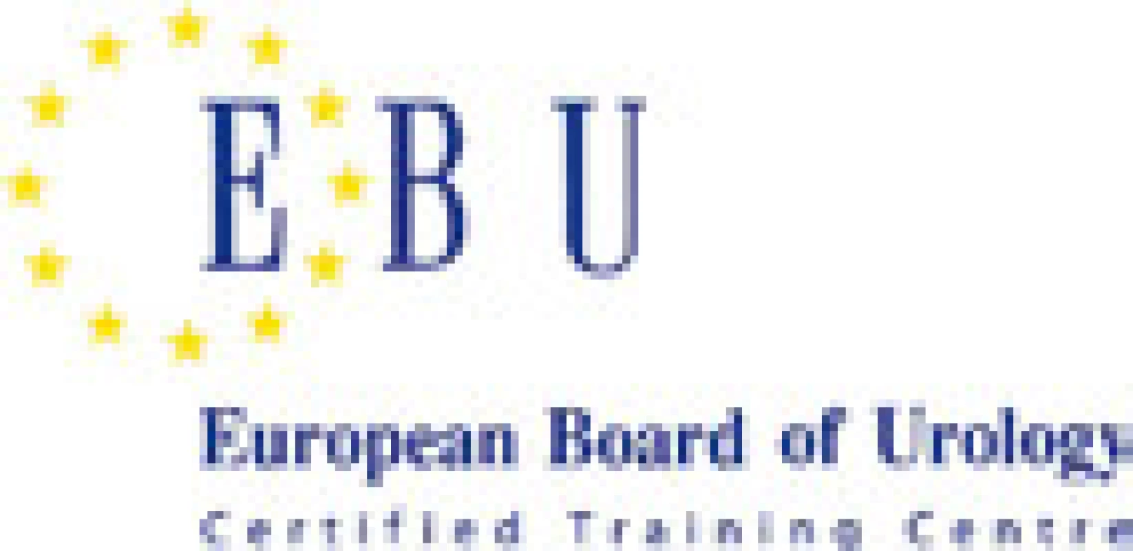 Logo, které smí užívat certifikovaná centra postgraduálního vzdělávání certifikovaná EBU
Fig. 1. Logo of centers certified by EBU