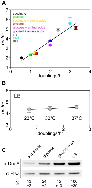 Nutrient-mediated growth rate regulation of DNA replication initiation in <i>B. subtilis</i>.