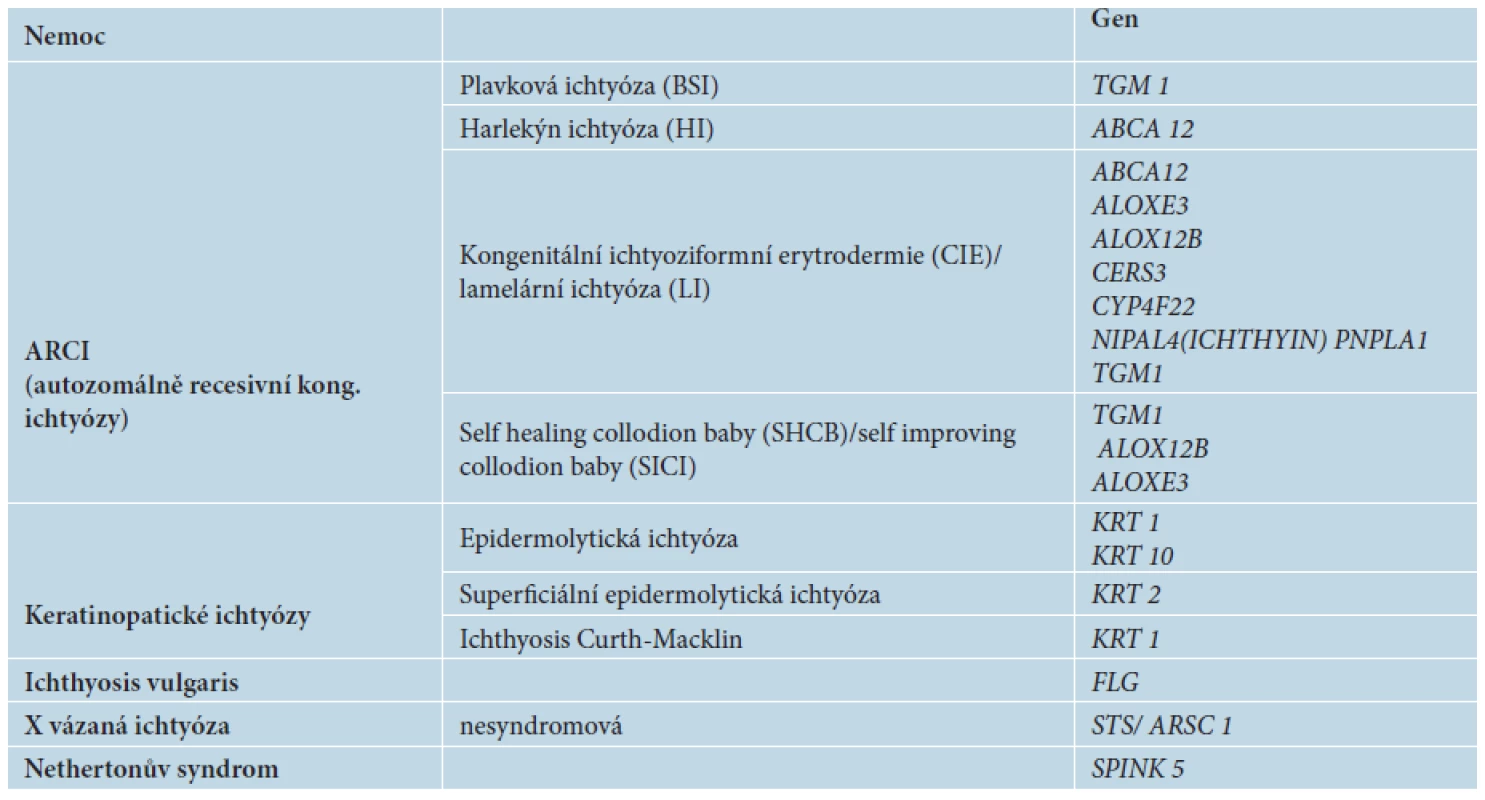 Základní typy ichtyóz a jejich molekulární diagnostika