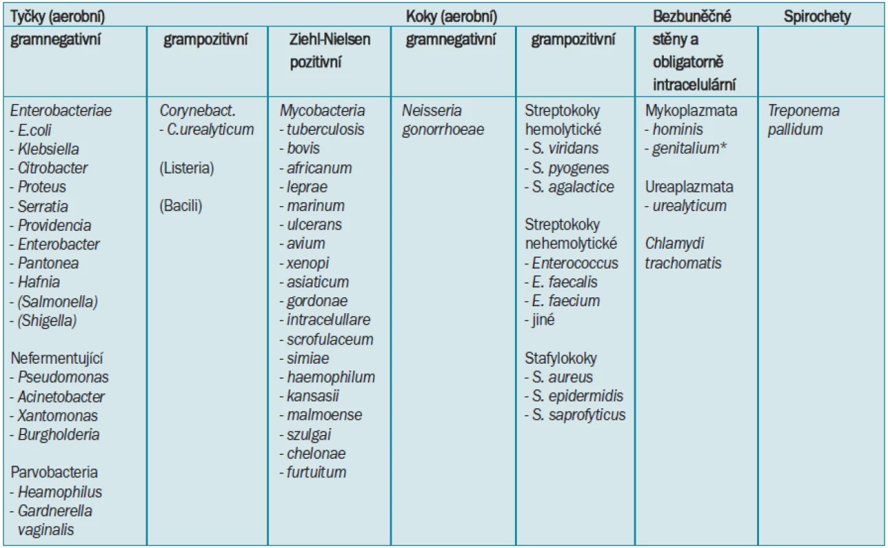 Dělení klinicky relevantních bakteriálních původců IMC.