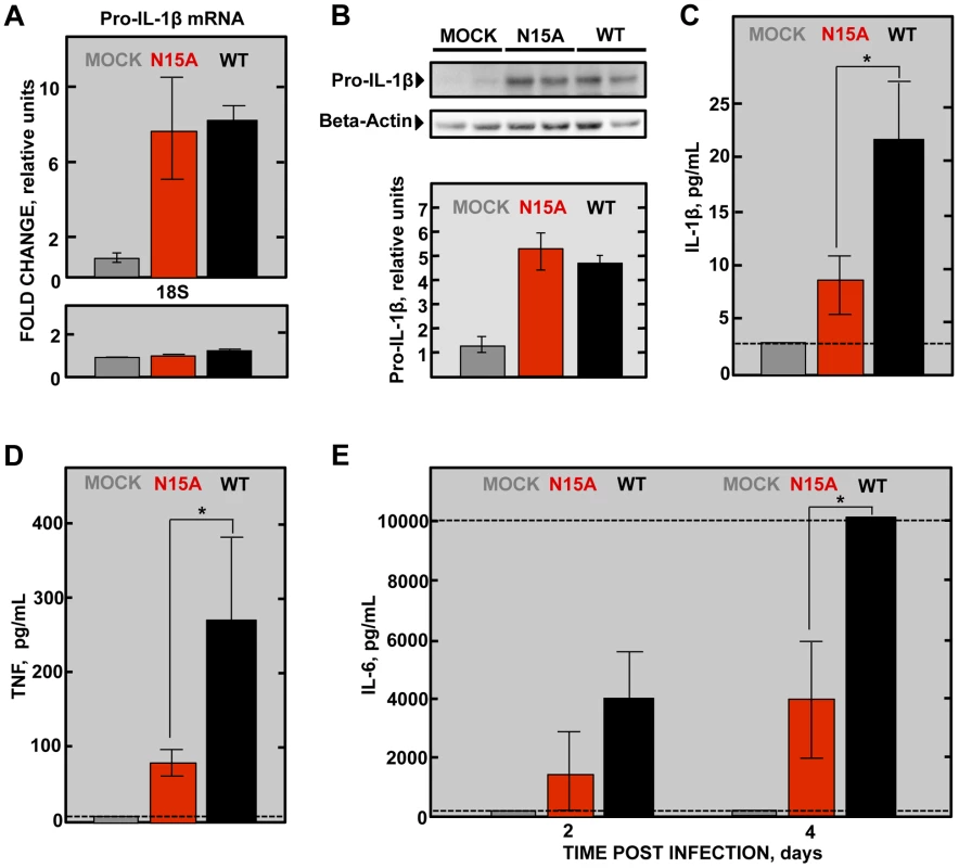 SARS-CoV E protein IC activity and induction of inflammatory cytokines involved in lung injury.