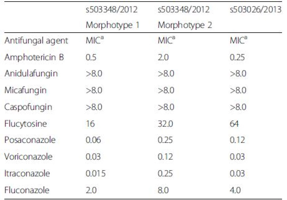 Antifungal susceptibility testing of <i>T. mycotoxinivorans</i> isolated in 2012 (Morphotype 1 and Morphotype 2) and 2013