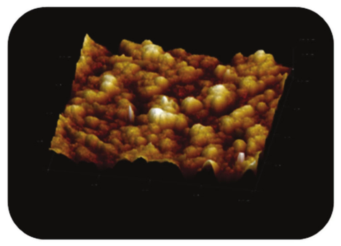 Trojrozměrné zobrazení AFM skenu detailu povrchu magnetického nosiče PGMA-COOH, režim zobrazení: výškový profil, skenovaná oblast 0,5x0,5 μm&lt;sup&gt;2&lt;/sup&gt;, Z-rozsah 14 nm.