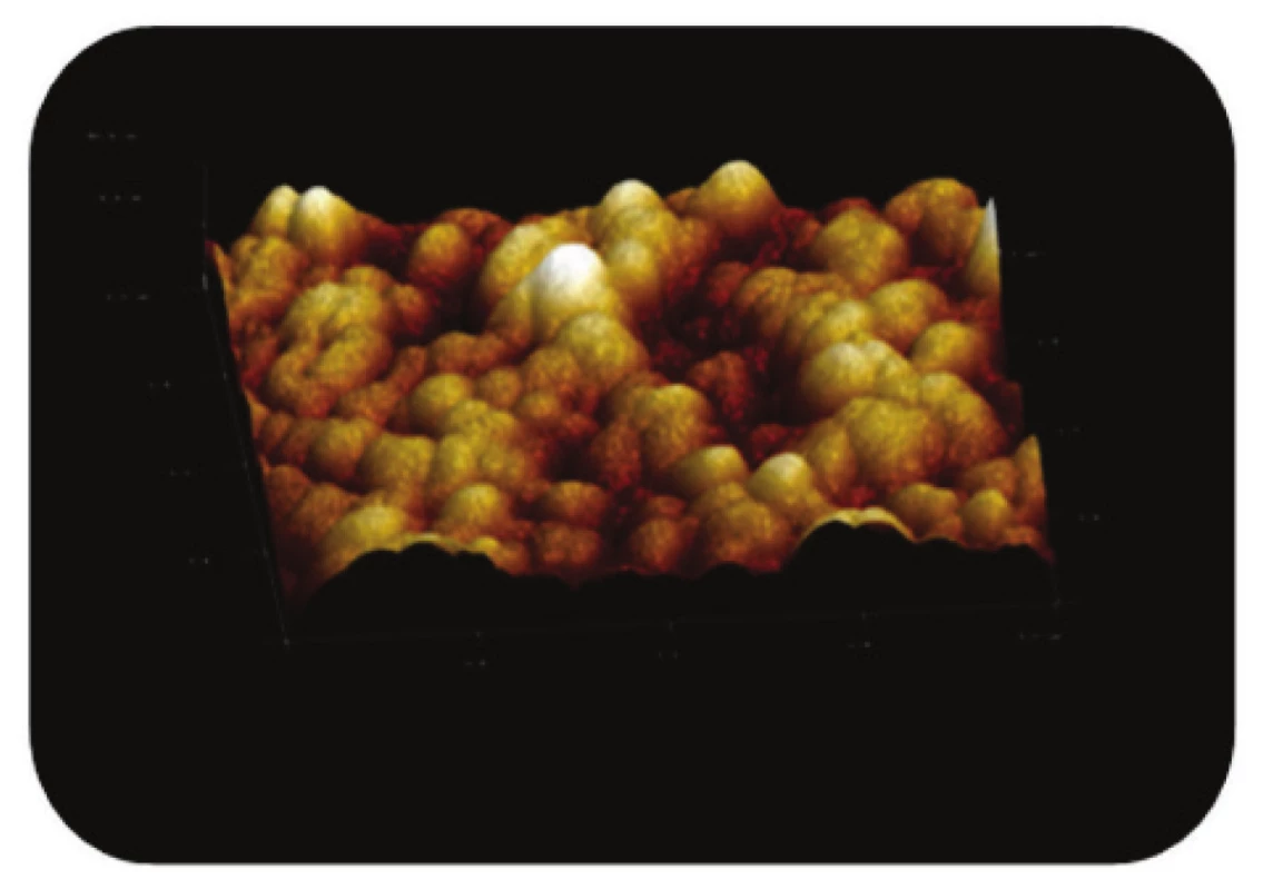Trojrozměrné zobrazení AFM skenu detailu povrchu magnetického nosiče MPG – STV – coated, režim zobrazení: výškový profil, skenovaná oblast 2x2 μm&lt;sup&gt;2&lt;/sup&gt;, Z – rozsah 80 nm.