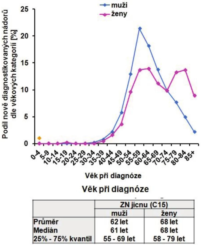 Věk pacientů se ZN jícnu (C15) v období 2004–2008
Fig. 7: Age of esophageal cancer patients (C15) during 2004–2008