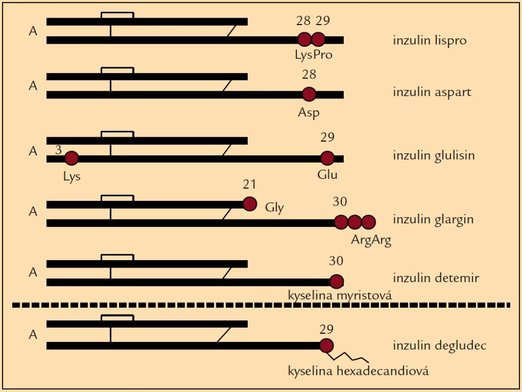 Schéma molekulárních změn u inzulinových analogů.