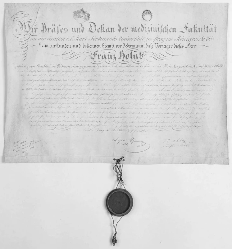 Univerzitní diplom ranlékaře Františka Holuba z roku 1836 (Foto Jiří Vaněk)