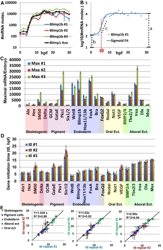 Mild variations of mRNA maximal levels and highly repeatable gene initiation times in <i>Pl</i> expression profiles.