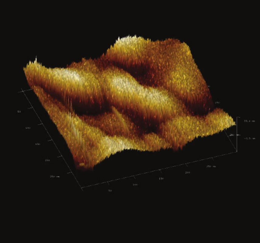 Trojrozměrné zobrazení jemného detailu povrchové struktury magnetického nosiče MPG – uncoated. Vložené měřítko odpovídá 50 nm. Skenovaná oblast 300x300 nm&lt;sup&gt;2&lt;/sup&gt;, Z – rozsah 33 nm.