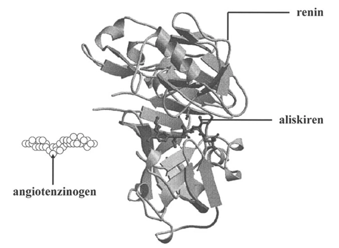 Stužkový model reninu s enzymatickou štěrbinou, kde se váže aliskiren (dle 38)