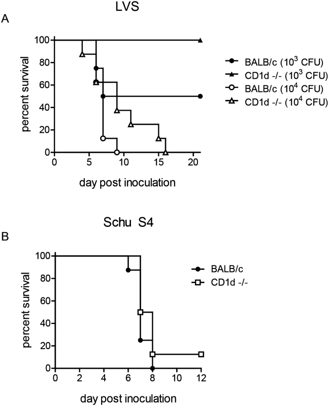 Reduced susceptibility of CD1d<sup>-/-</sup> mice is not dependent on strain background.