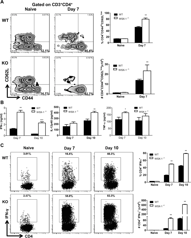 Enhanced activation of CD4<sup>+</sup> T cells and elevated production of inflammatory cytokines in the liver of IL-27R<sup>-/-</sup> (WSX-1<sup>-/-</sup>) mice infected with <i>T</i>. <i>congolense</i>.
