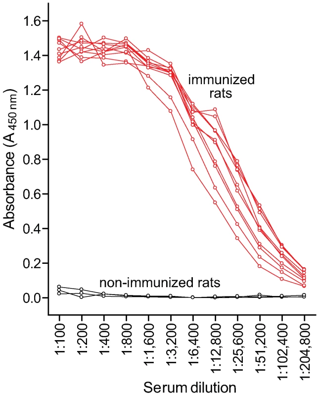 Comparison of serum anti-Ace titers in immunized and non-immunized rats.