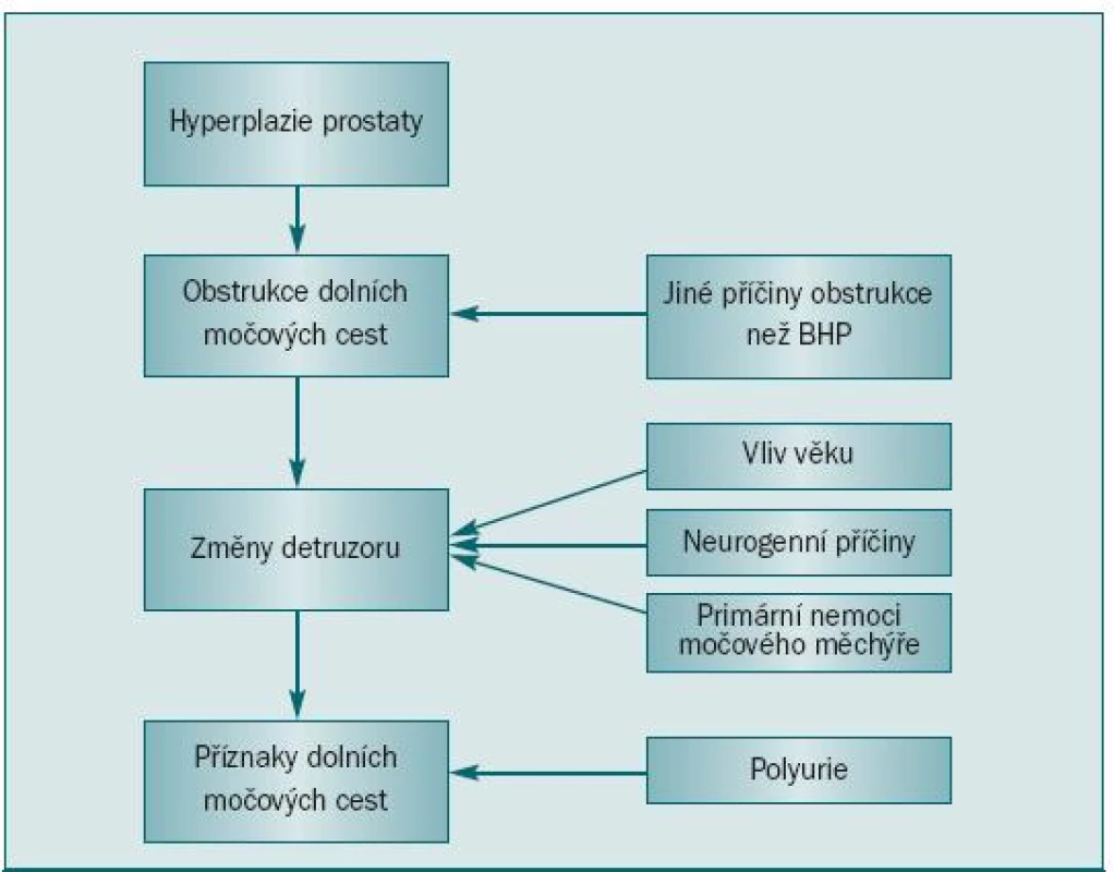 Patofyziologie BHP – komplexní interakce mezi uretrální obstrukcí, funkcí detruzoru a produkcí moči [3].