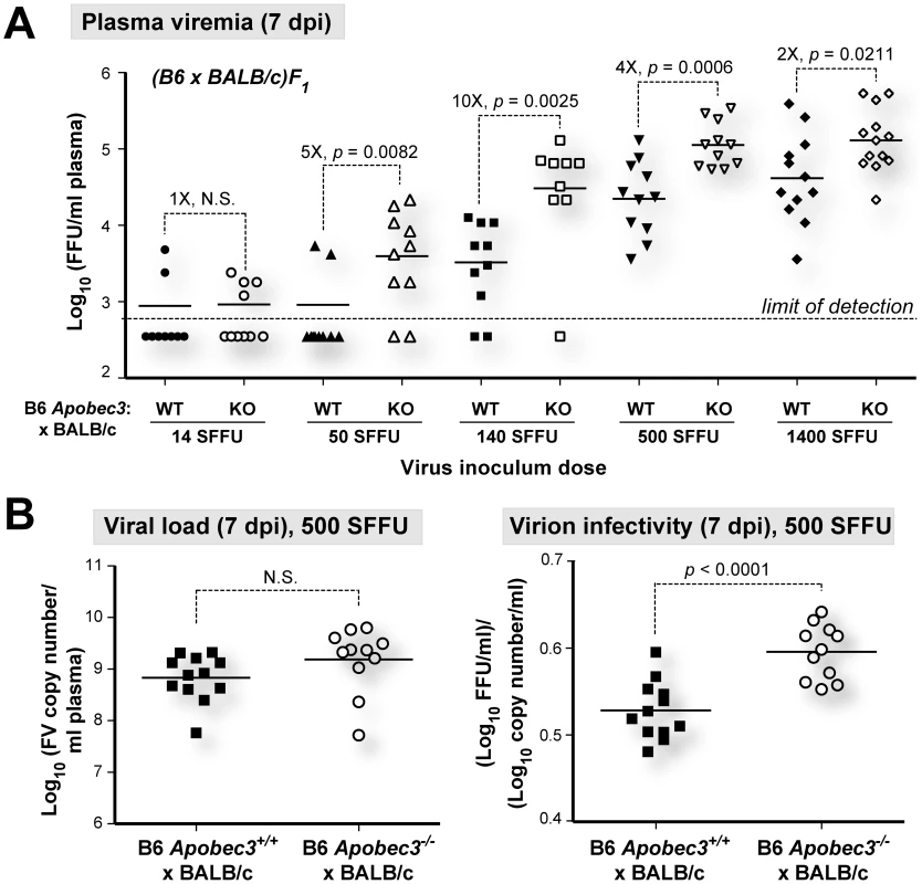 B6 <i>mA3</i> is a saturable innate restriction factor <i>in vivo</i>.