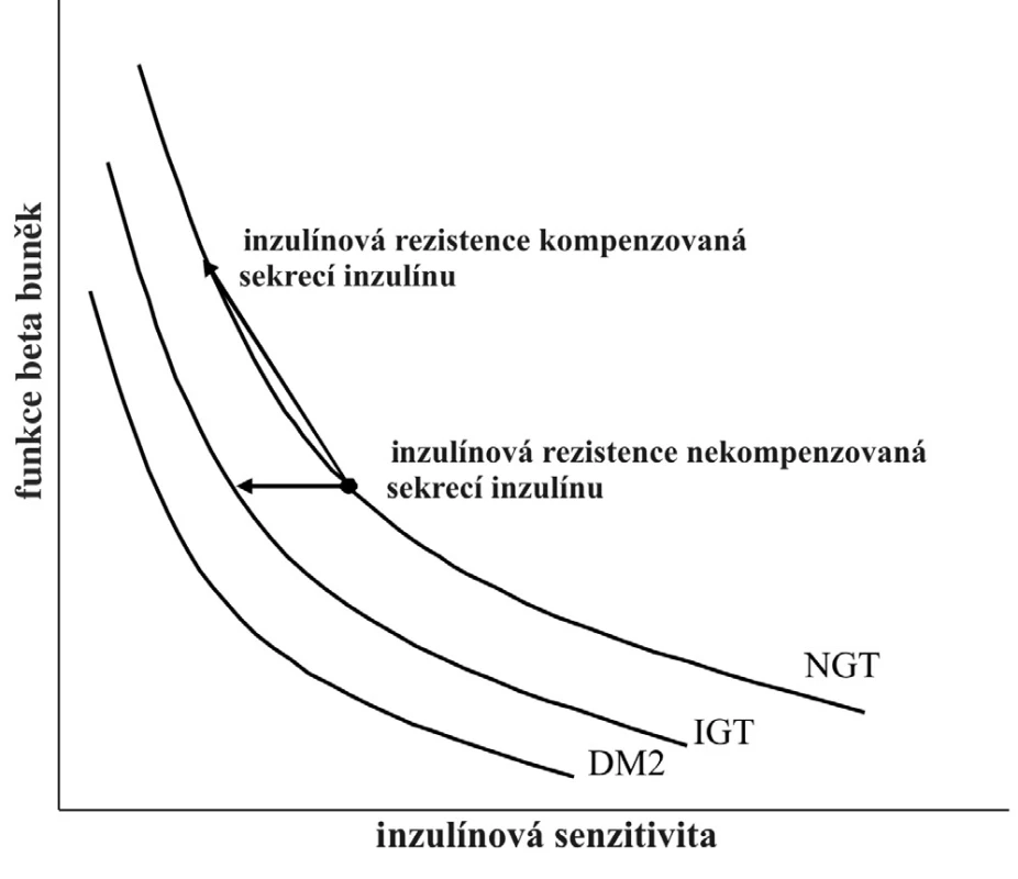 Hyperbolický vztah mezi inzulínovou sekrecí a inzulínovou senzitivitou, označovaný jako dispoziční index DM2 – diabetes mellitus 2. typu, IGT – porušená glukózová tolerance, NGT – normální glukózová tolerance