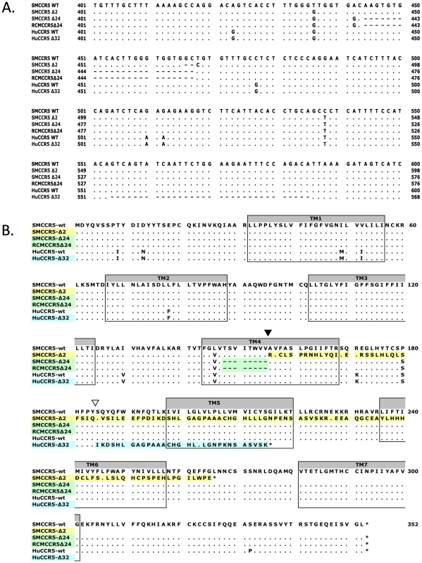 Sequence alignment of wild-type and mutant CCR5 genes.