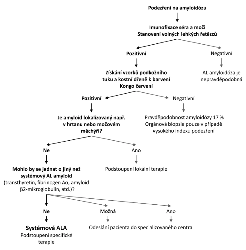 Diagnostický postup při rozpoznání AL amyloidózy &lt;em&gt;(modifikace dle Gertze, 2011)&lt;/em&gt;