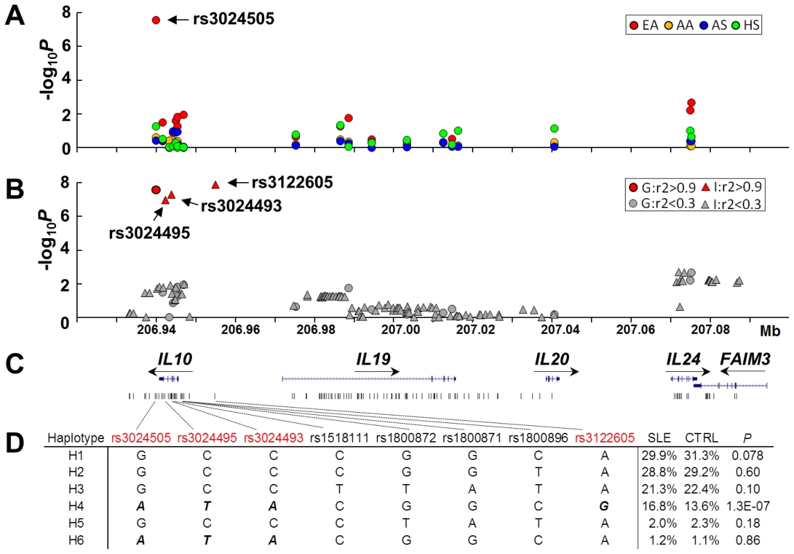 SNPs of the <i>IL10</i> gene cluster associated with SLE in European Americans.