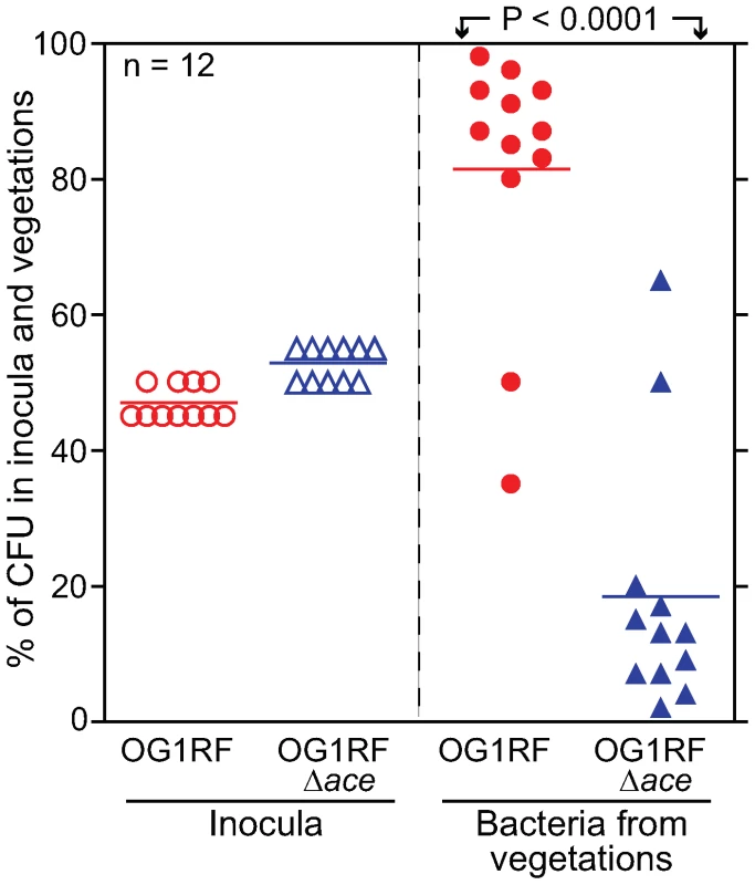 <i>E. faecalis</i> OG1RF and OG1RFΔ<i>ace</i> (TX5467) in a competition (mixed infection) assay in the rat endocarditis model.