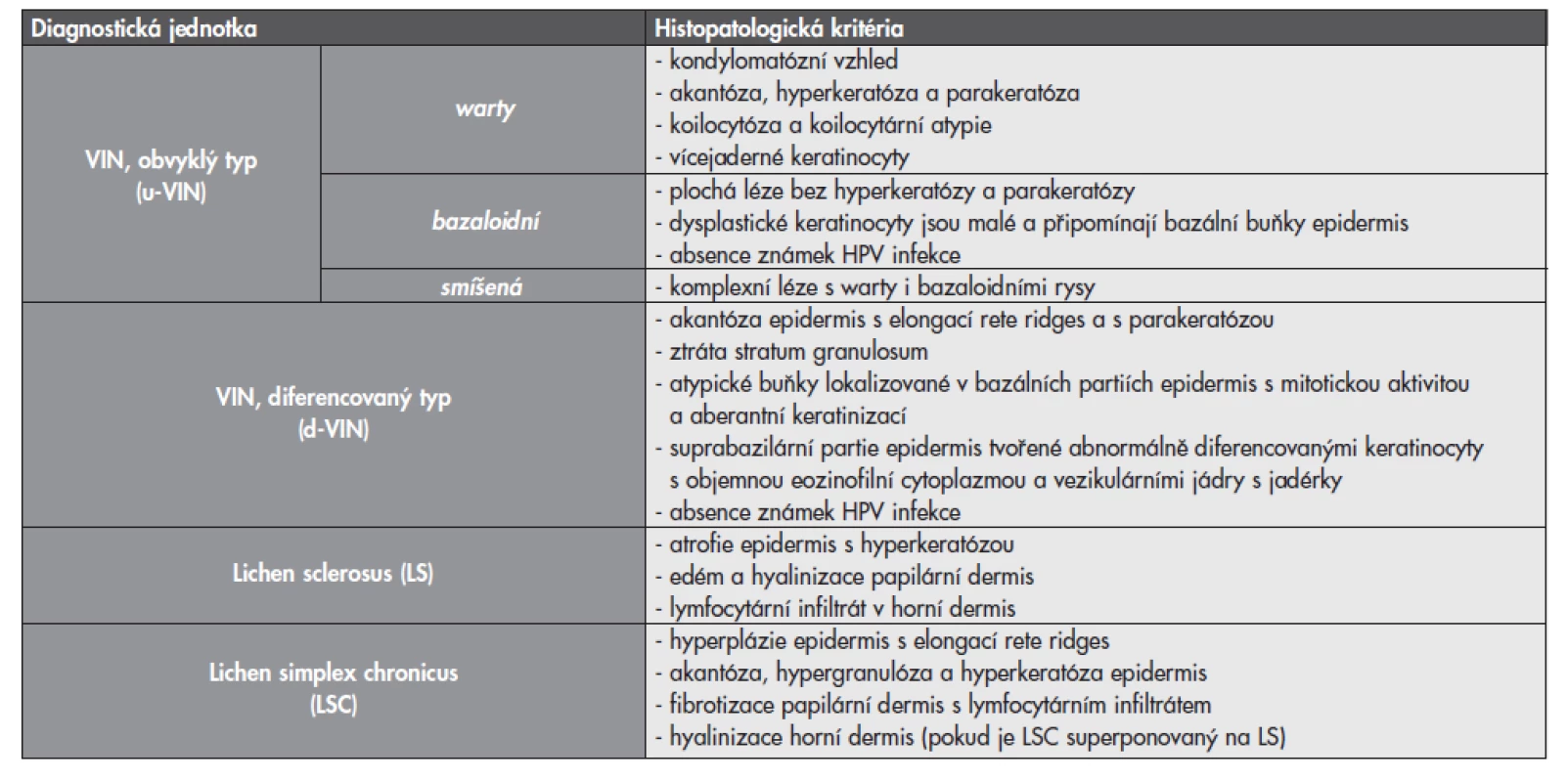 Základní histologické charakteristiky prekancerózních lézí vulvy a dalších asociovaných afekcí.