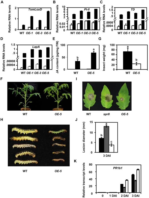 Resistance of <i>TomLoxD</i> overexpression plants to cotton bollworm larvae and <i>Botrytis cinerea</i>.