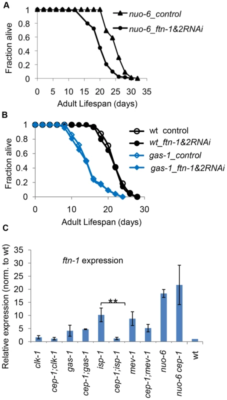 <i>ftn-1</i> is differentially expressed in various ETC mutants and mediates their lifespan outcomes.