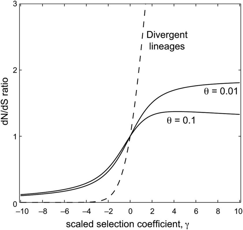 The relationship between the scaled selection coefficient, <i>γ</i>, and the expected dN/dS ratio.
