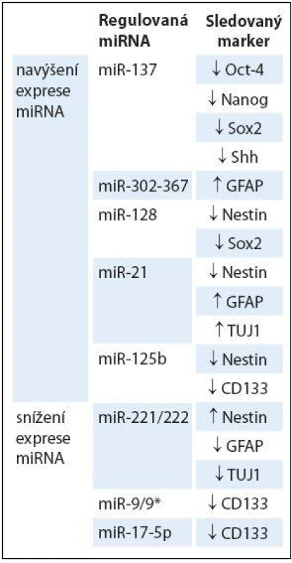 Zapojení miRNA v regulaci exprese vybraných markerů u GSCs.