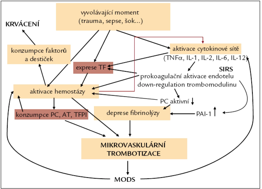 Patogeneze DIC a MOF.
PC – protein C, AT – antitrombin, TFPI – tissue factor pathway inhibitor, SIRS – systemic inflammatory response syndrome, MODS – multiorgan dysfunction syndrome, TF – tkáňový faktor, PAI-1 – plazminogen aktivátor inhibitor-1