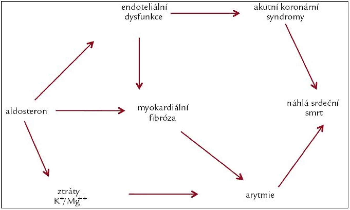 Mnohočetný (pleiotropní) vliv aldosteronu na vznik náhlého srdečního úmrtí (volně podle [26]).