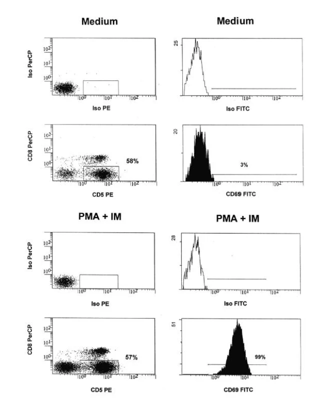 Určení populace aktivovaných CD4+ (CD5+CD8-) T-lymfocytů 2a) nestimulované buňky (medium); 2b) stimulované buňky (PMA + IM)
Fig. 2. Identification of activated CD4+ (CD5+CD8-) T cells 2a) Non-activated cells (Medium) 2b) Activated cells (PMA + IM)