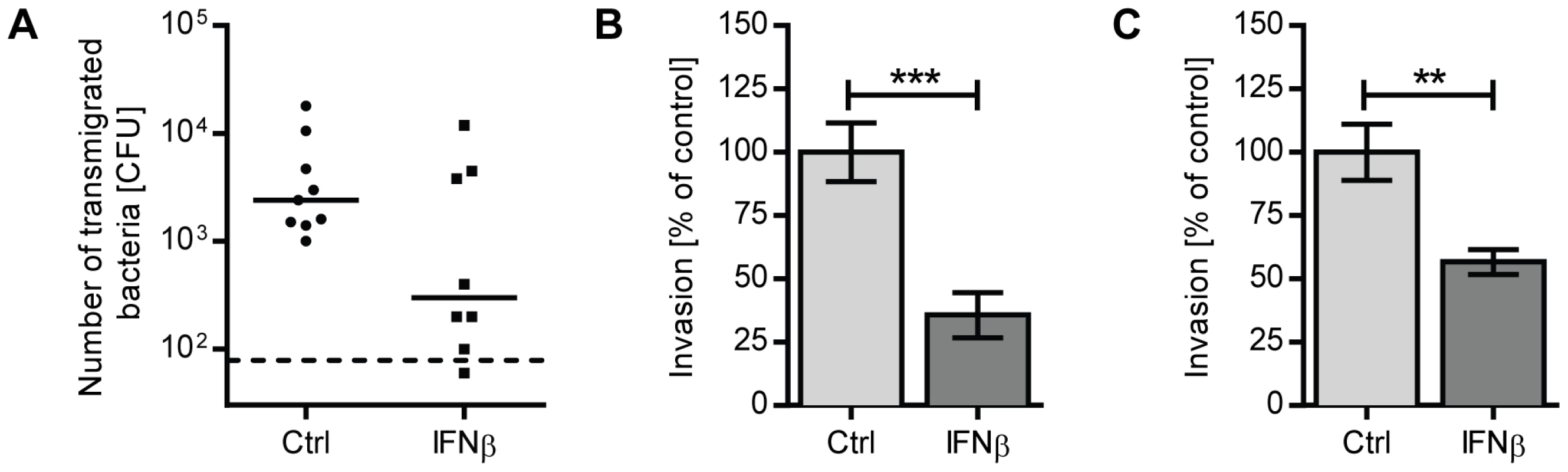 IFNβ reduces pneumococcal transmigration and invasion of lung epithelial cells and endothelial cell lines.