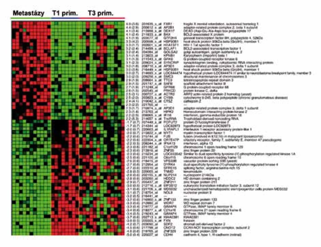 Část 155genového metastatického profilu cRCC , vytvořeného na základě srovnání expresních profilů vzdálených metastáz cRCC a primárních tumorů o rozsahu T1 (dle TNM klasifikace). Tento profil následně aplikovaný na cRCC o rozsahu T3 rozdělil T3 tumory na dvě skupiny. Skupina T3 tumorů, která měla profil genové exprese 155 genů podobný profilu vzdálených metastáz, měla v době chirurgického výkonu vzdálené metastázy skutečně přítomny. U pacientů s T3 tumory s profilem genové exprese podobným T1 tumorům v době chirurgického výkonu vzdálené metastázy přitomny nebyly.