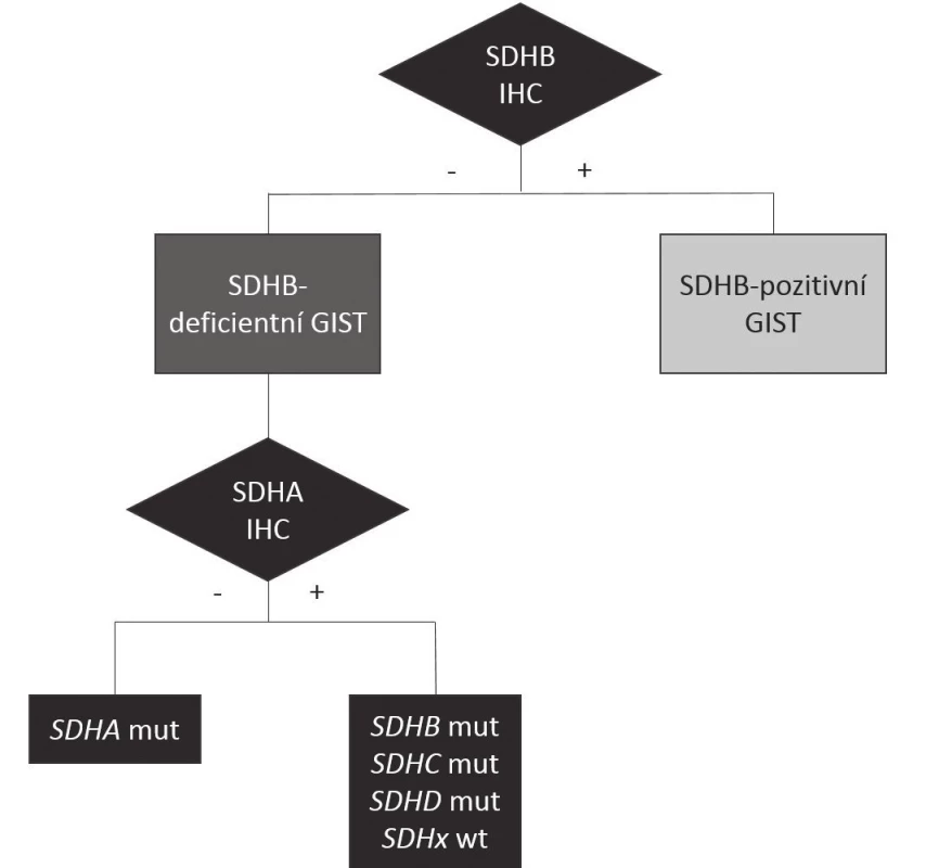 Klasifikace GISTů na základě SDHB imunohistochemie Imunohistochemické vyšetření exprese SDHB umožňuje rozdělit GISTy na „klasické“ GISTy SDHB-pozitivní (další dělení v tab. 1) a na imunohistochemicky negativní SDHB-deficientní. Z nich je asi jedna třetina podmíněna mutací genu SDHA, což se projeví ztrátou imunoexprese proteinu SDHA, čtvrtina mutací v některém ze zbývajících hlavních genů SDHB-D, u nichž je imunoexprese
SDHA zachována, stejně jako u SDHB-deficientních tumorů bez detekovatelné mutace SDH genů.
SDHA, SDHB, SDHC, SDHD: jednotlivé podjednotky enzymu sukcinátdehydrogenázy (SDH)
SDHB IHC: imunohistochemické vyšetření exprese SDHB
SDHA IHC: imunohistochemické vyšetření exprese SDHA
SDHA mut, SDHB mut, SDHC mut, SDHD mut: mutace genu příslušné jednotky sukcinátdehydrogenázy
SDHx wt: tumor bez detekovatelné mutace v jakékoli podjednotce SDH