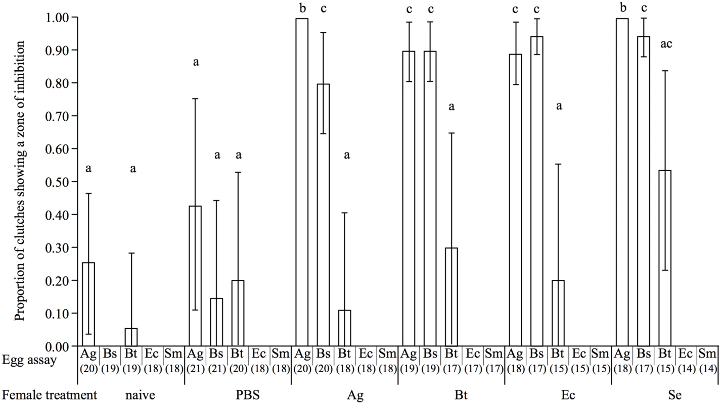 Barplot showing the mean proportion of egg extracts showing a zone of inhibition according to the microorganism on which they were tested (egg assay) and the maternal bacterial treatment.