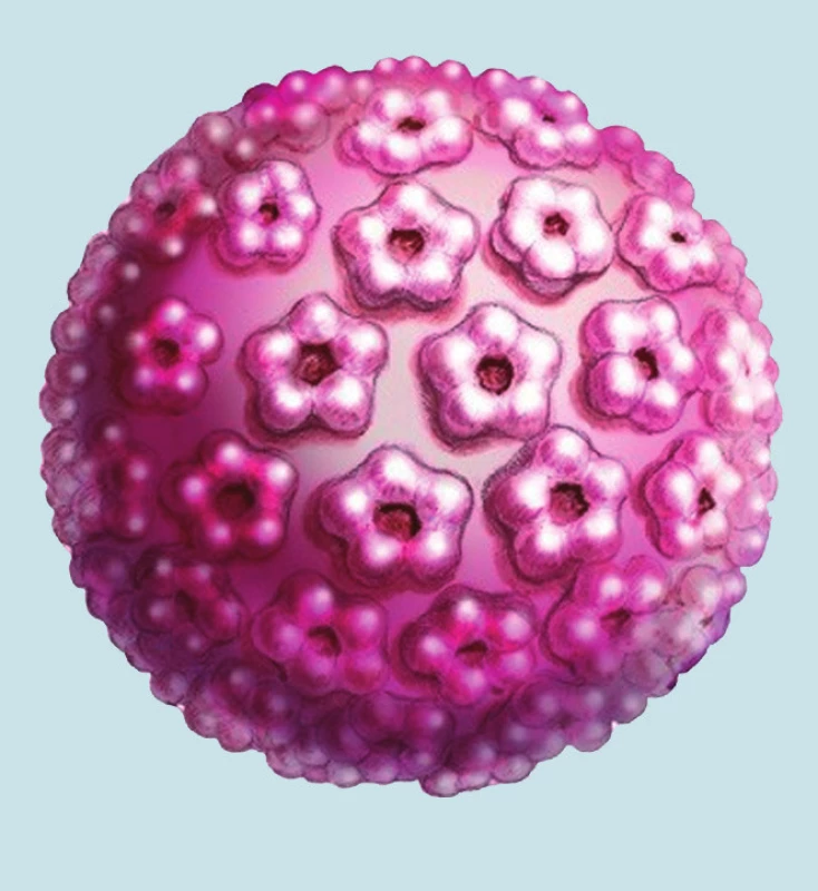 Schéma kapsidy HPV.